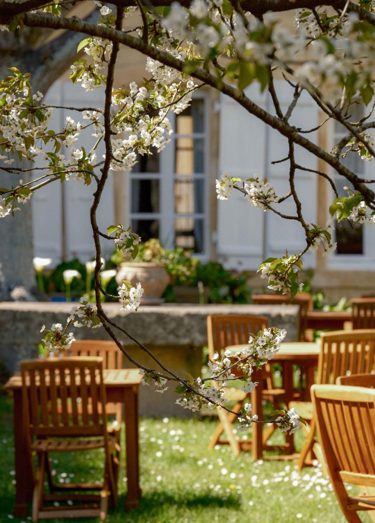 La Baronnie Hotel & Spa - Teritoria 圣马丹德雷 外观 照片